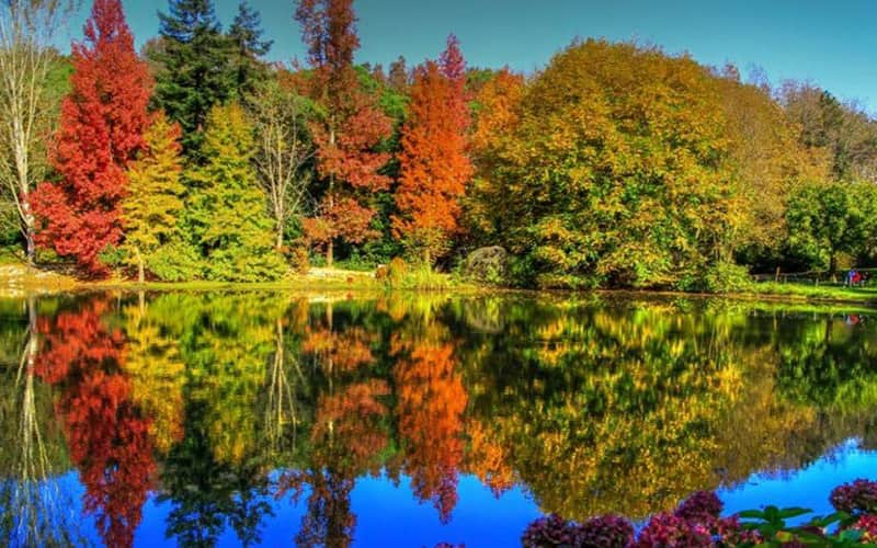 Atatürk Arboretumu